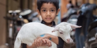 Third Place (Tie) | “Muhasin and the Goat” | Bangalore, India
