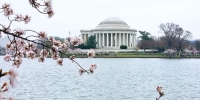 Thematic Spotlight: Global Perspectives Within the U.S. | “Spring in D.C.” | Washington, D.C.