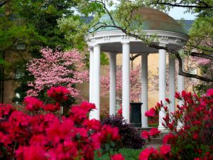 The Old Well in spring with pink and red flowers