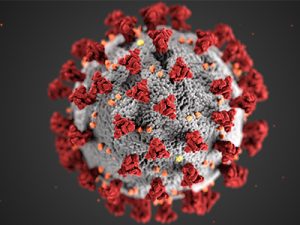 Microscopic image of coronavirus.