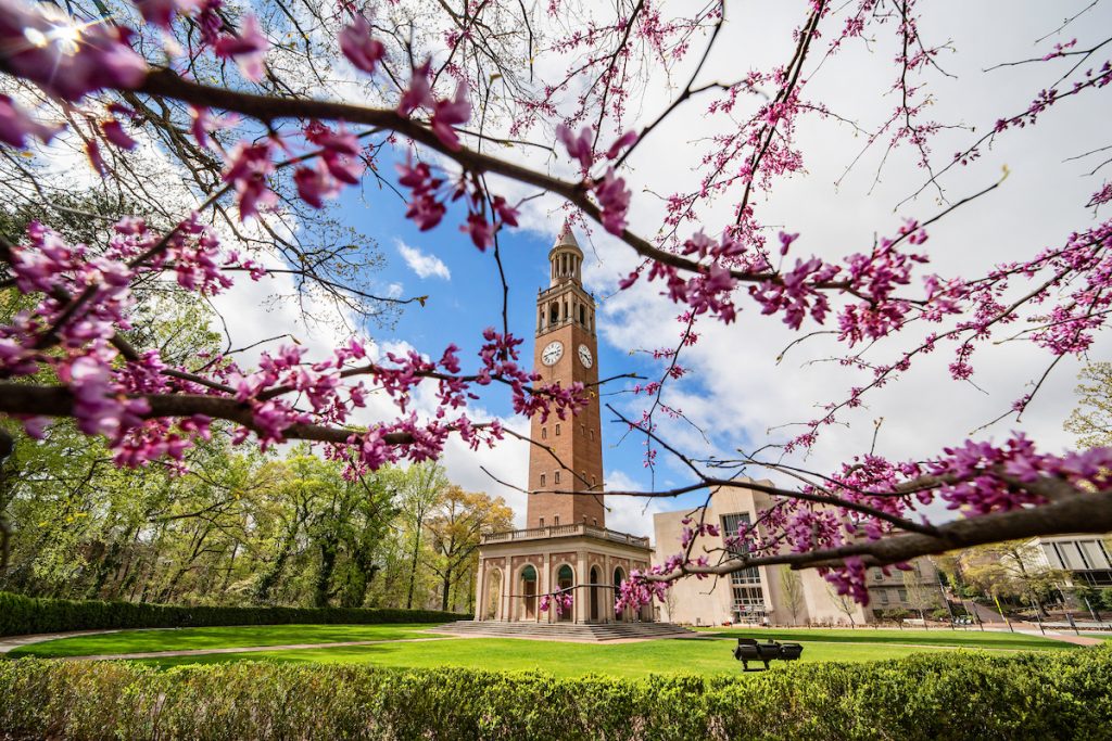 UNC bell tower visible through branches of purple flowers