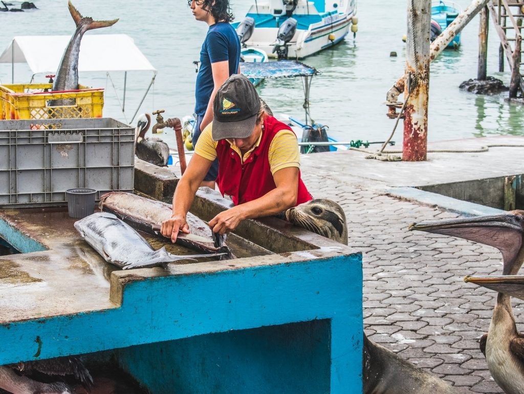 a woman cleaning fish