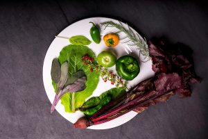 Over-head shot of a white plate holding vegetables including leafy greens and various peppers.