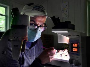 Man wearing mask working on specimen under microscope.