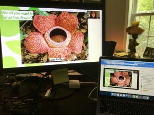 Dual screens of presentation on flowers.