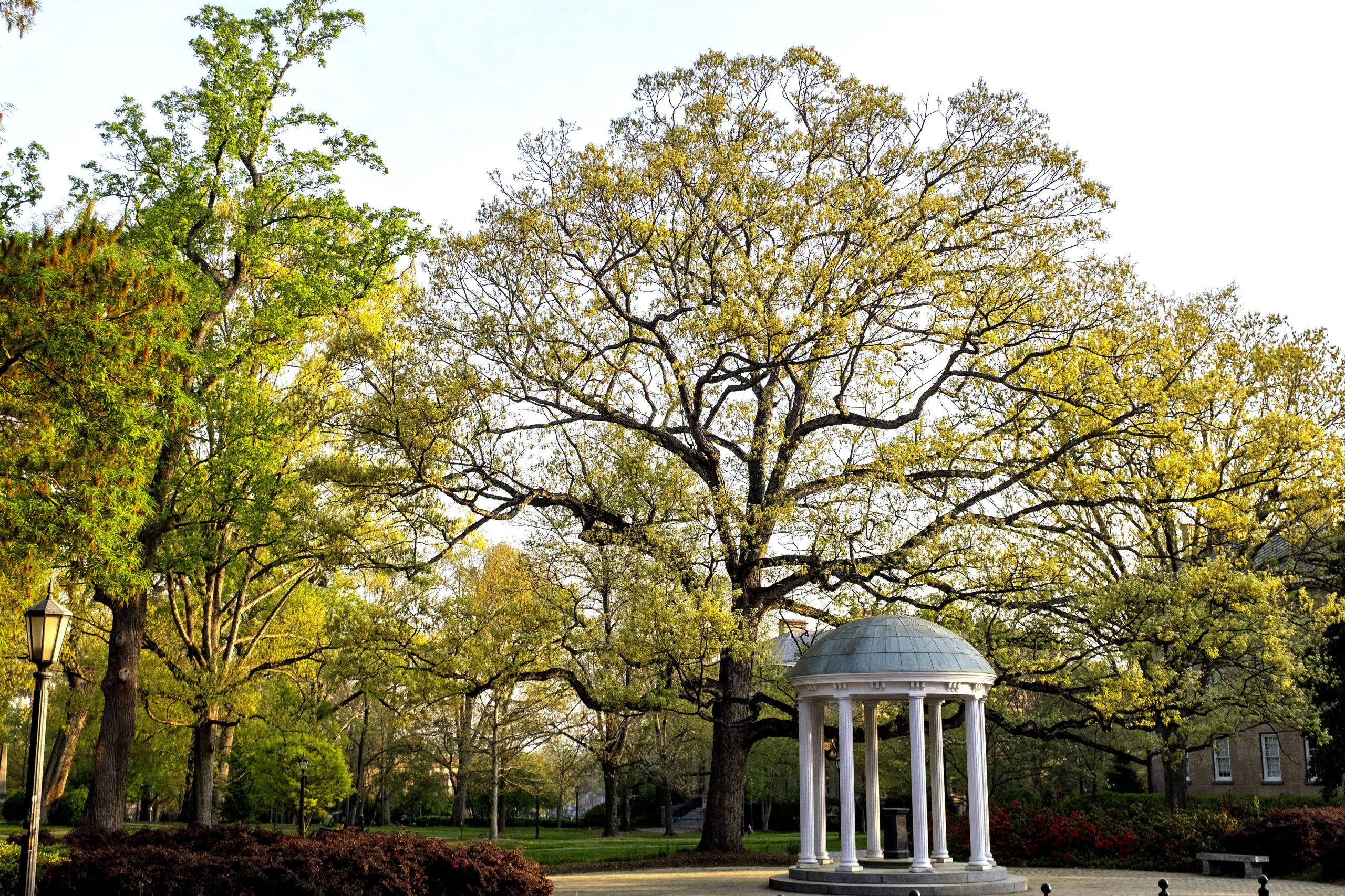 unc-chapel-hill-ranks-29th-in-2021-academic-ranking-of-world-universities-unc-global