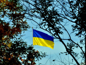 Ukraine flag waving in the wind. Framed by leaves of a tree.