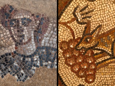 Two photos of different Huqoq synagogue mosaics. The left shows a man, who is an Israelite commander. The right one depicts a fox eating grapes.
